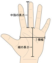 手の形と性格 手相占い