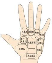 手のひらの丘.jpg
