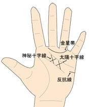 特殊線.jpg